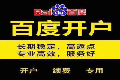 SEM广告投放中的数据分析和优化案例